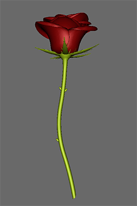 Red Rose 2