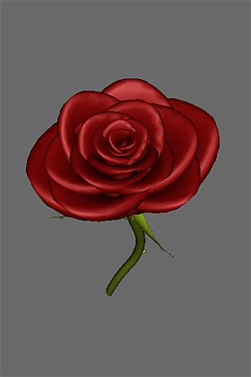 Red Rose 3