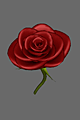 Red Rose 3