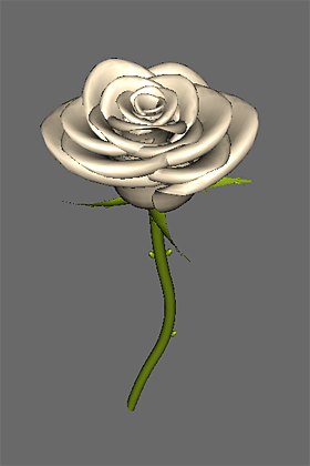 White Rose 1