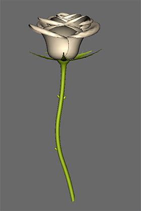White Rose 2