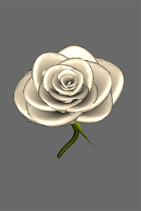 White Rose 3