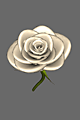 White Rose 3
