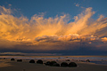 Moeraki Boulders